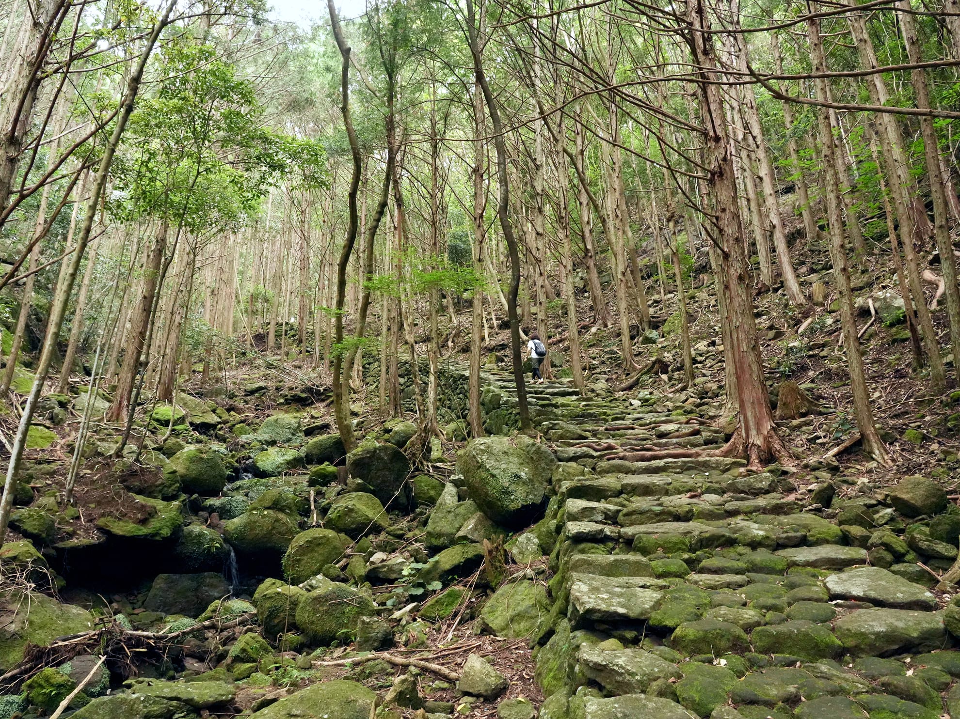 Iseji Route – Matsumoto-toge Pass