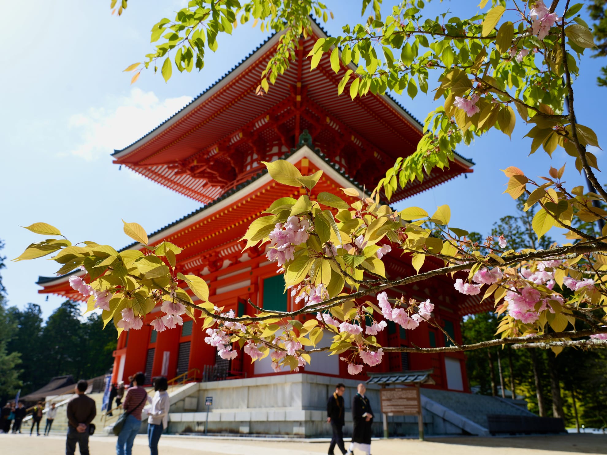 Mount Koya